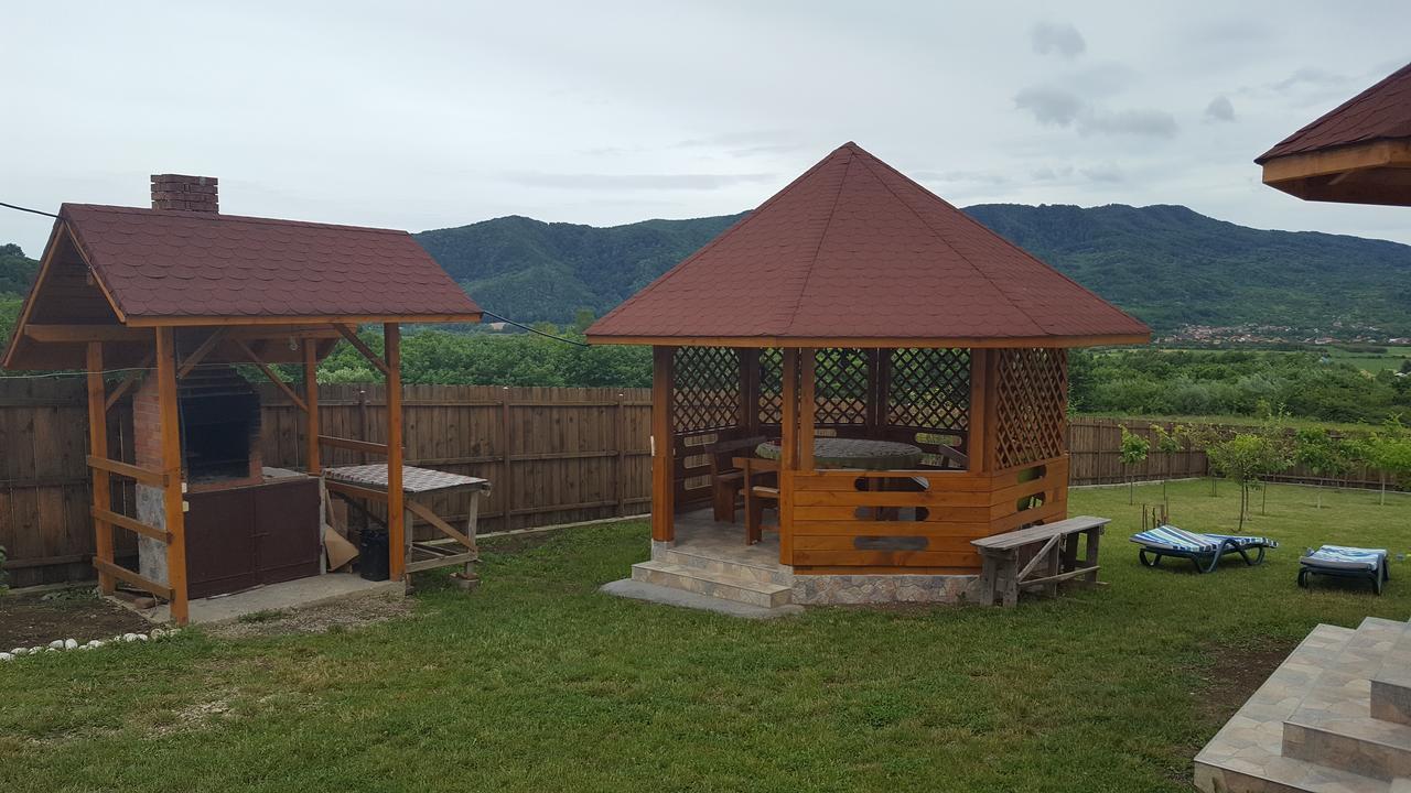 Casa De Vacanta Laurentiu Călimăneşti エクステリア 写真