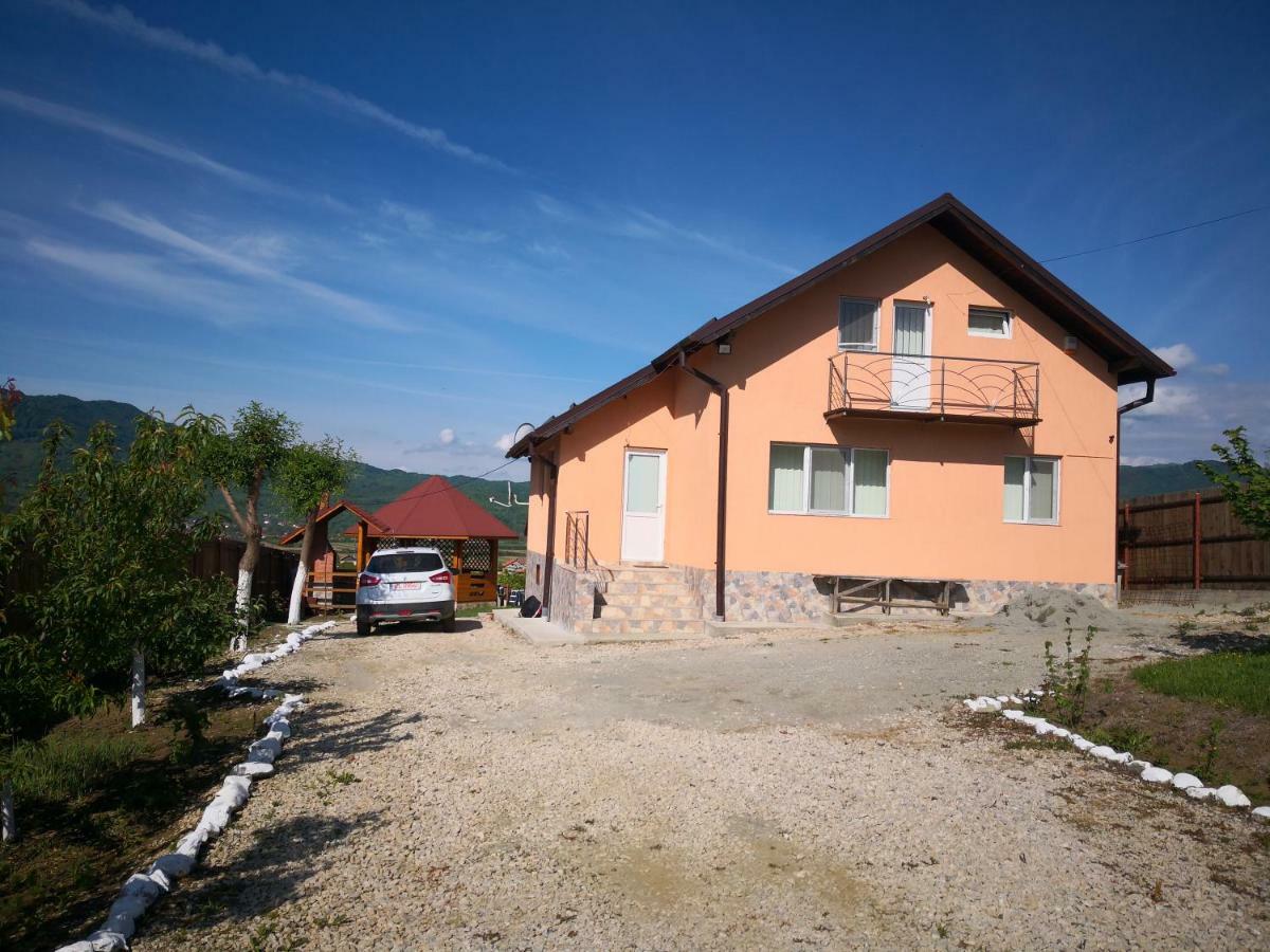 Casa De Vacanta Laurentiu Călimăneşti エクステリア 写真