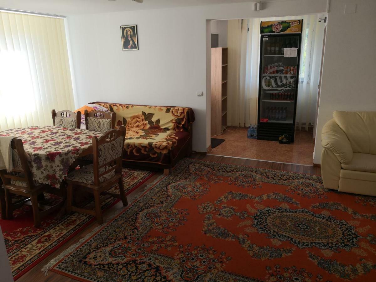 Casa De Vacanta Laurentiu Călimăneşti エクステリア 写真